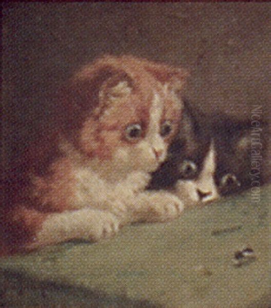 Two Kittens Watching A Fly Oil Painting by Sidney Lawrence Brackett