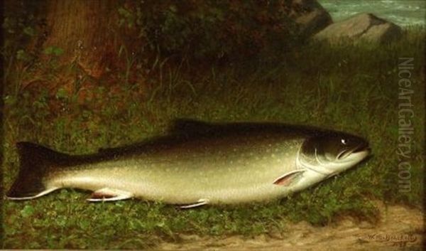 Still Life With Trout Oil Painting by Walter M. Brackett