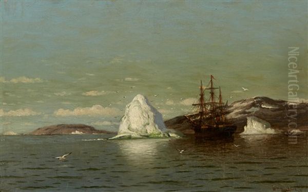 The Ship Panther At Anchor Oil Painting by William Bradford