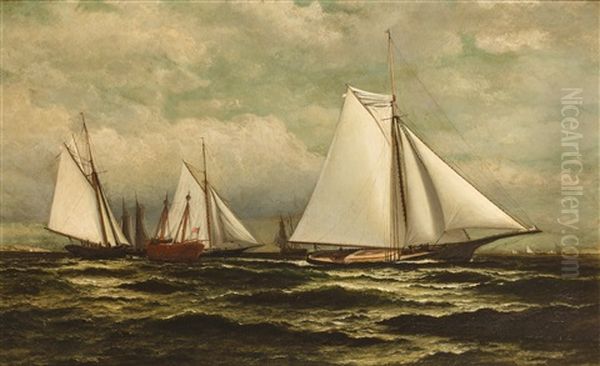 The Goelet Prize For Sloop Yachts With Gracie In The Lead Oil Painting by William Bradford