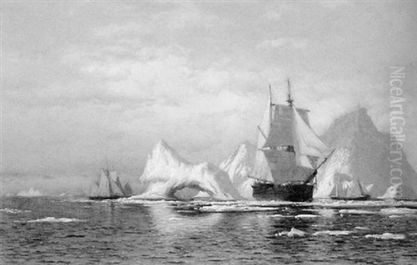 Artic Whaler Homeward Bound Among The Icebergs Oil Painting by William Bradford