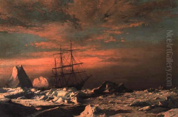 Steamer Panther Among The Icebergs In Melville Bay, Labrador Oil Painting by William Bradford