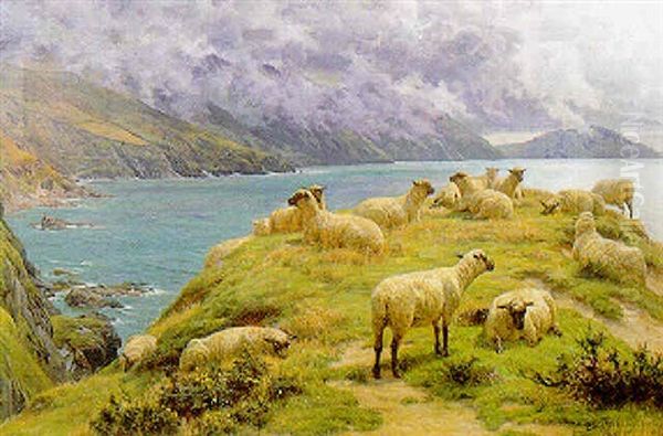 Sheep Reposing, Dalby Bay, Isle Of Man Oil Painting by Basil Bradley