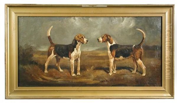 Study Of A Foxhound Couple Oil Painting by Cuthbert Bradley