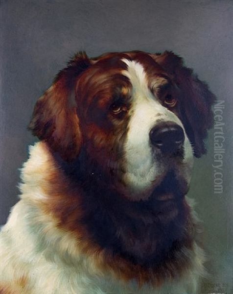 Portrait Of A St. Bernard Oil Painting by William Bradley