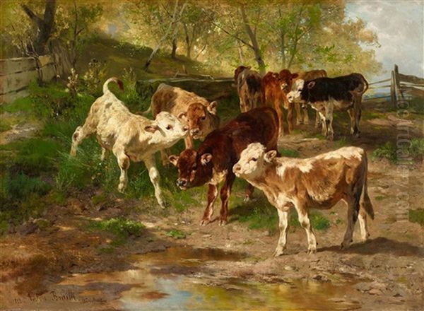 Young Cattle Grazing Oil Painting by Anton Braith