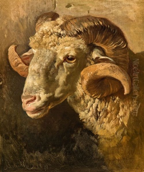 Head Of A Ram Oil Painting by Anton Braith