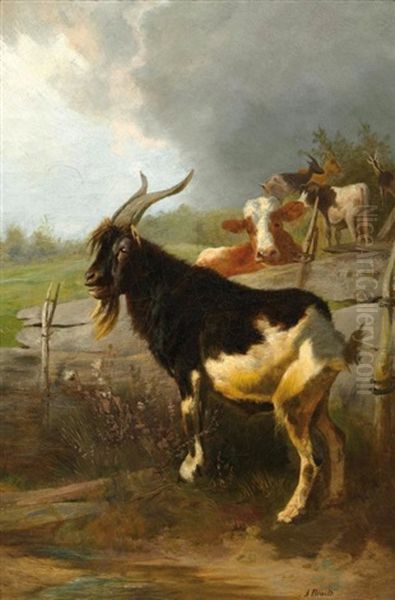 Kuhe Und Ziegen In Einer Landschaft Oil Painting by Anton Braith