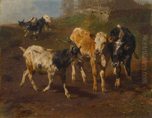 Kalber Und Ziegen Oil Painting by Anton Braith