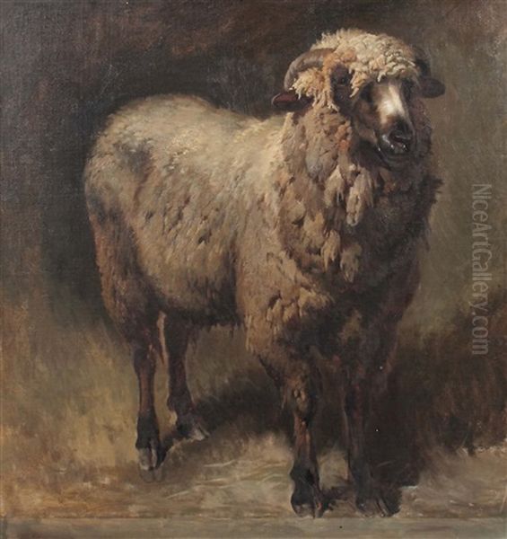 Stehender Schafbock Oil Painting by Anton Braith