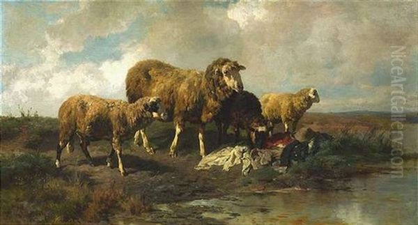 Am Ufer Eines Weihers Beschnuppern Vier Schafe Kleidungsstucke, Die Ein Hirte Dort Abgelegt Hat Oil Painting by Anton Braith