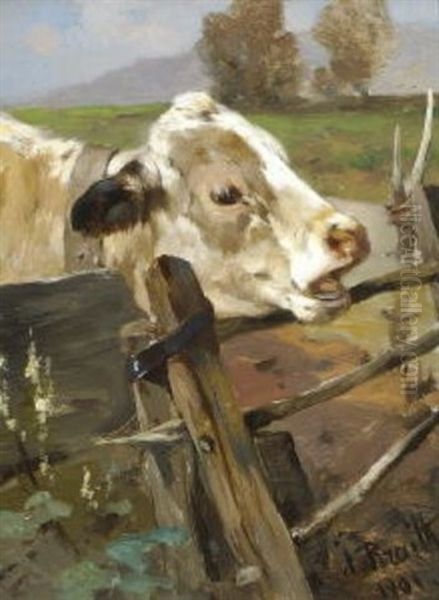 Kalb Am Gatter Oil Painting by Anton Braith