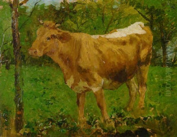 Jungstier Auf Der Weide Oil Painting by Anton Braith