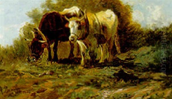 Oxen Plowing A Field Oil Painting by Anton Braith