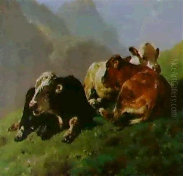 Schwarzbuntes, Rotbuntes Und Falbes Kalb Auf Einer Bergalm  Im Sonnenschein Oil Painting by Anton Braith