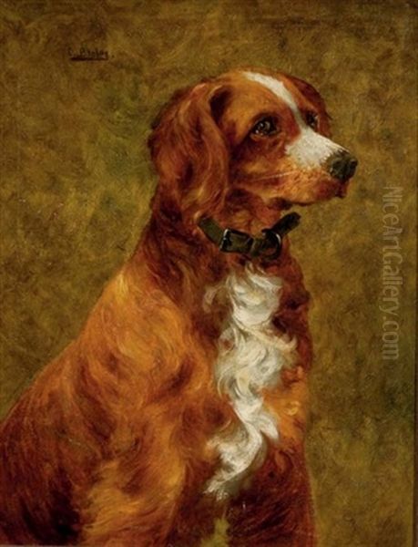 Portrait Of An English Setter Oil Painting by Clarence E. Braley