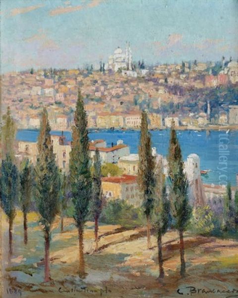 Vue De Constantinople Oil Painting by Carlo Brancaccio