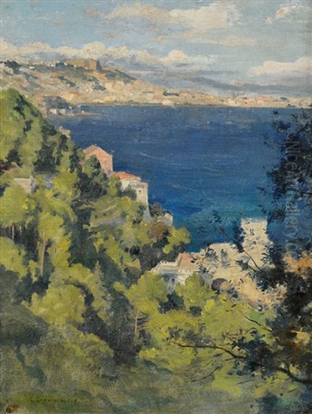 Scorcio Del Golfo Di Napoli Oil Painting by Carlo Brancaccio