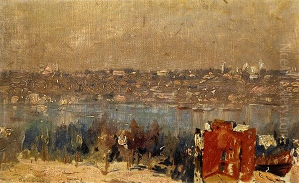 Blick Uber Den Bosporus Auf Istanbul Oil Painting by Carlo Brancaccio