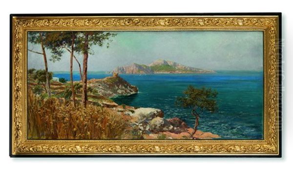 Blick Auf Capri Von Sorrent Oil Painting by Carlo Brancaccio