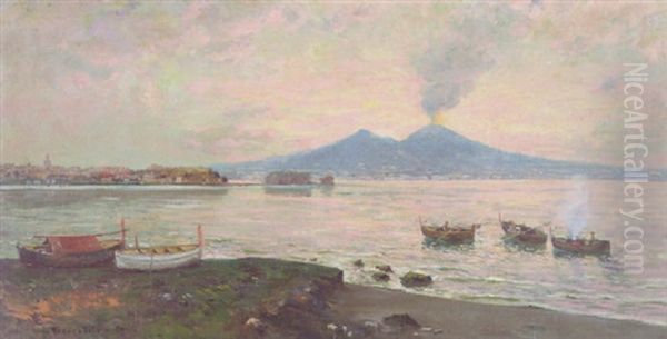 View Of Naples With Mt. Vesuvius In The Distance Oil Painting by Carlo Brancaccio