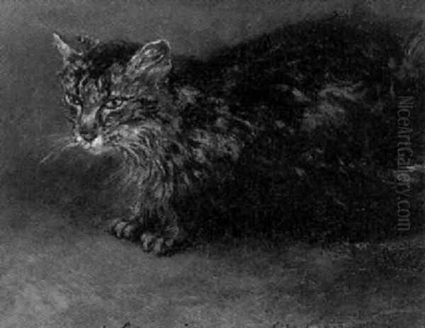 Chat A L'affut Oil Painting by Carlo Brancaccio