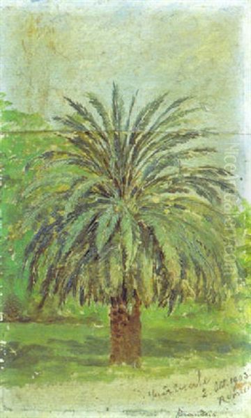 Le Palmier Oil Painting by Antonietta Brandeis