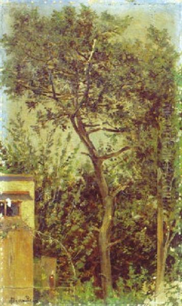 L'arbre Oil Painting by Antonietta Brandeis