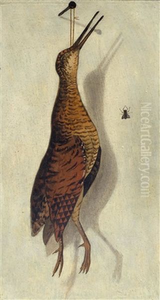 Trompe 'oeil With A Snipe And A Fly Oil Painting by F.A. Brandel