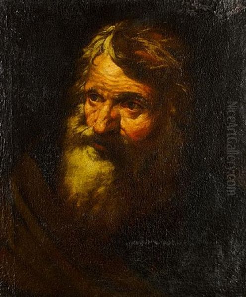 Bearded Man (study) Oil Painting by Domenico Brandi