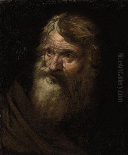 Head Of A Bearded Man (study) Oil Painting by Giacinto Brandi