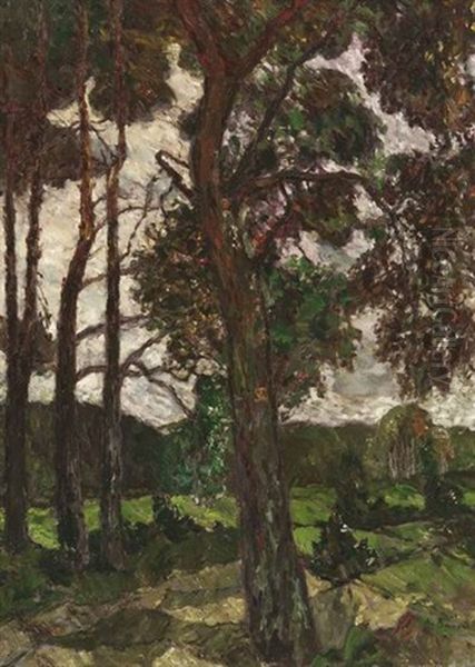 Blick Ins Aachener Land Mit Grosem Erlenbaum Oil Painting by August Von Brandis