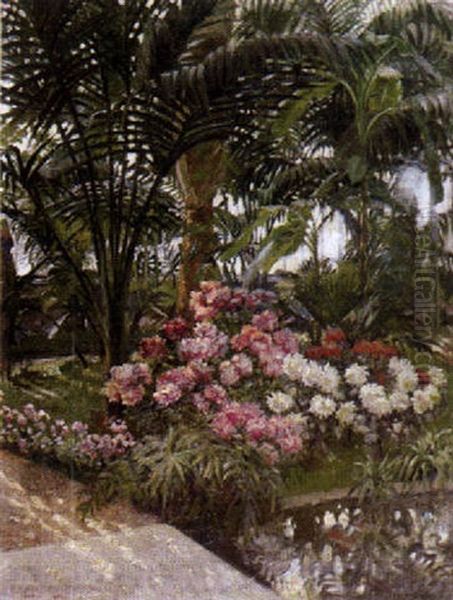 Rhododendron-busche Unter Palmen Oil Painting by Marie Olga Brand-Krieghammer