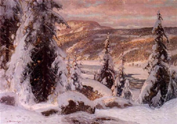 Norrlandskt Landskap, Solig Vinterdag Oil Painting by Carl Brandt