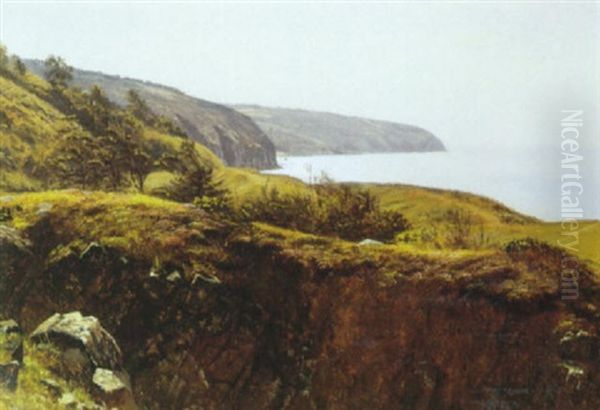 Parti Fra Bornholm by Johannes Herman Brandt