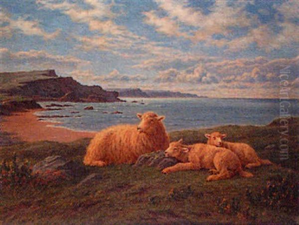 Overlooking Bude Bay - Ewe And Lambs At Rest Oil Painting by Charles H. Branscombe