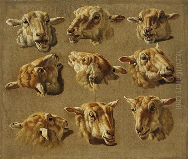 Study Of Sheep's Heads Oil Painting by Jacques Raymond Brascassat