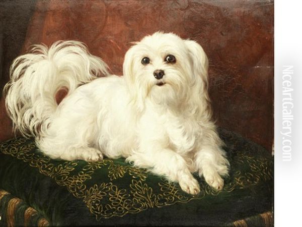 Odette, A Maltese On An Embroidered Cushion Oil Painting by Jacques Raymond Brascassat