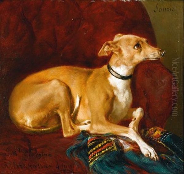 A Greyhound Resting On A Chair Oil Painting by Jacques Raymond Brascassat