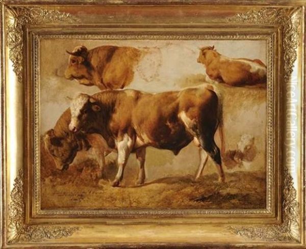 Taureau (study) Oil Painting by Jacques Raymond Brascassat