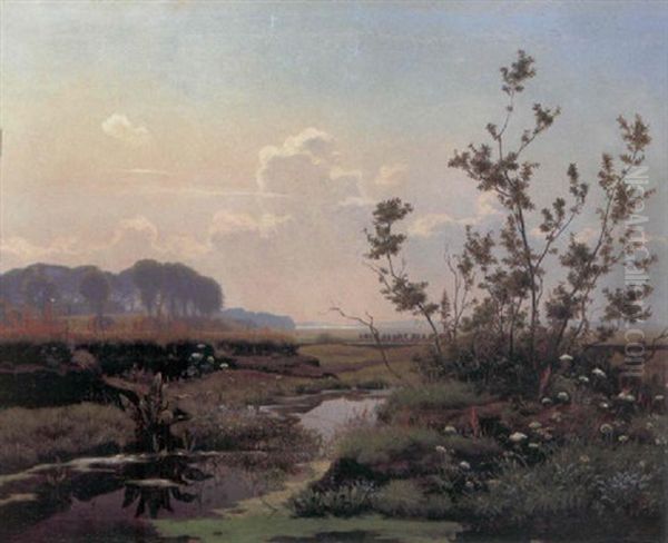 Torvemose Pa Sjaelland Oil Painting by Hans Ole Brasen