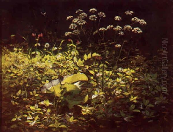 Vilde Blomster Oil Painting by Hans Ole Brasen