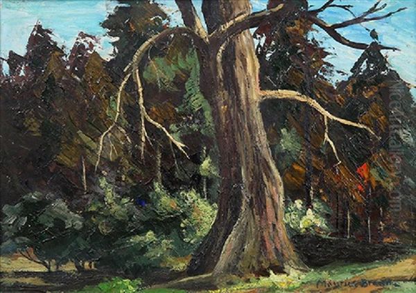 A Large Tree By A Path Oil Painting by Maurice Braun