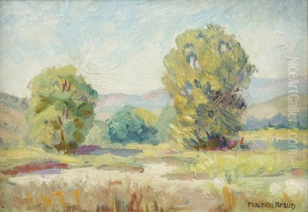 Oak Trees In A Landscape Oil Painting by Maurice Braun