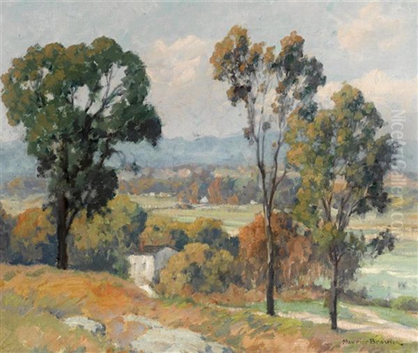 Valley Vista Oil Painting by Maurice Braun