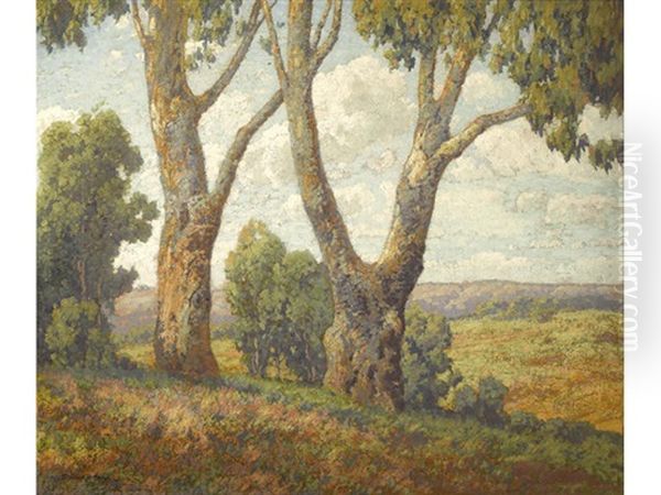 Majestic Trees With A Landscape Beyond Oil Painting by Maurice Braun