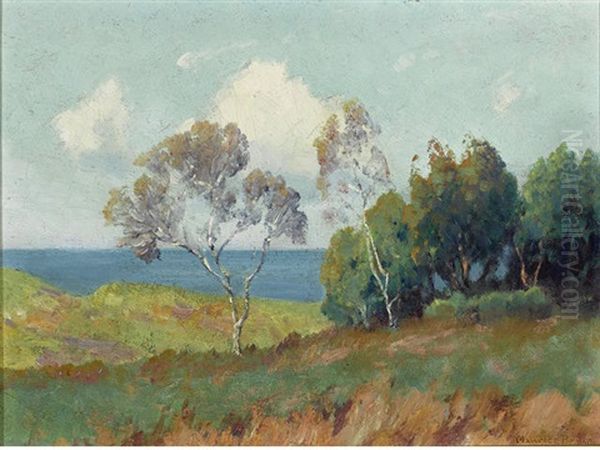 Landscape With Ocean Oil Painting by Maurice Braun