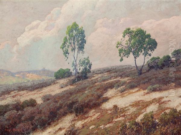 Point Loma Hill Oil Painting by Maurice Braun