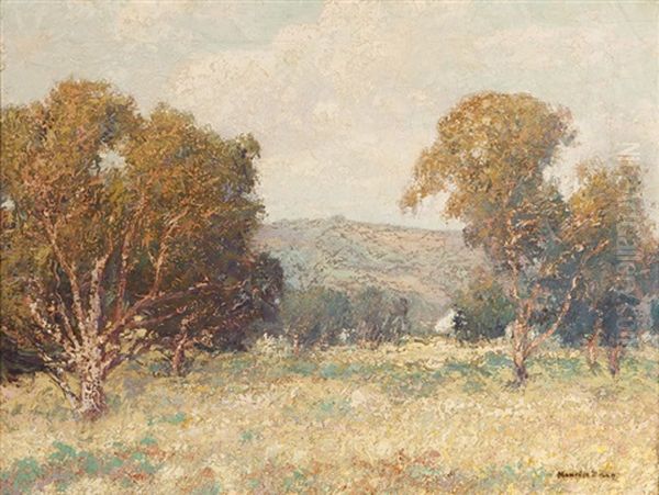 Trees In A California Landscape Oil Painting by Maurice Braun