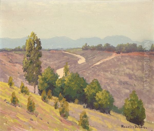 Grey Day, California Hillside Landscape Oil Painting by Maurice Braun